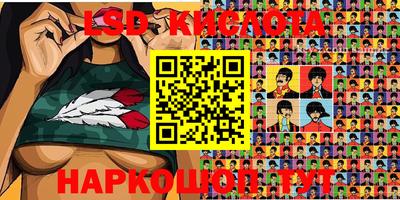 прущие крисы Аргун