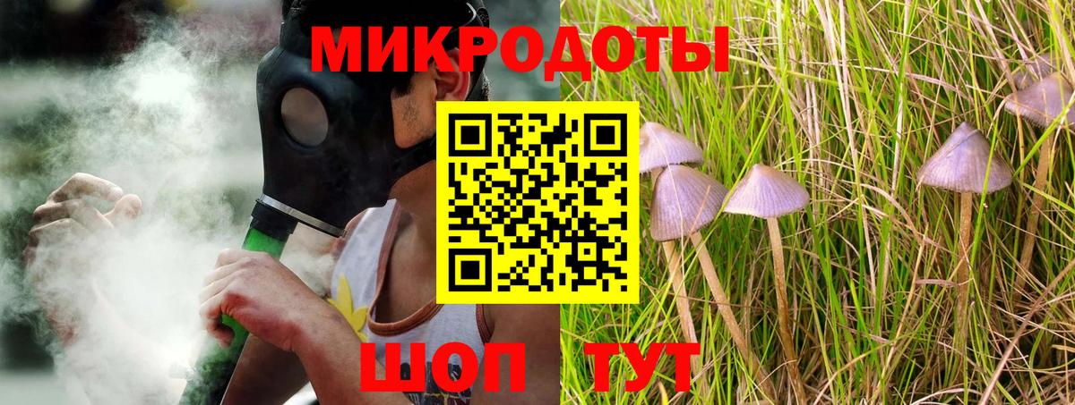 Псилоцибиновые грибы Magic Shrooms  Татарск  Галлюциногенные грибы Psilocybine cubensis 