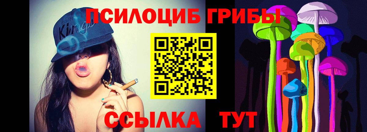Галлюциногенные грибы мухоморы  где продают   Татарск  Вход с VPN 
